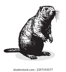  Beaver silhouettes and icons. black flat color simple elegant white background Beaver animal vector and illustration.