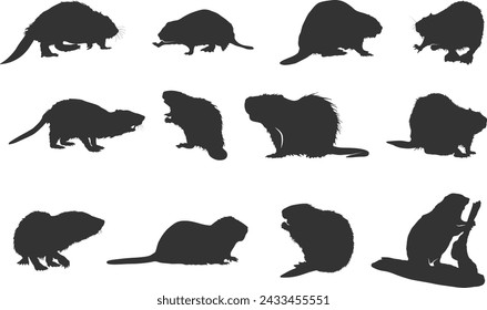 Beaver silhouettes, Beaver vector illustration