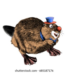 beaver stands on its hind legs the clown in the hat sketch vector graphics color picture