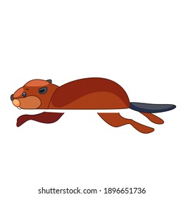 Beaver swimming in a river. Cartoon vector flat illustration isolated on white background.