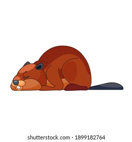 A beaver taking a relaxing. Cartoon character of a small mammal animal. A wild forest creature with brown fur. Side view. Vector flat illustration isolated on a white background.