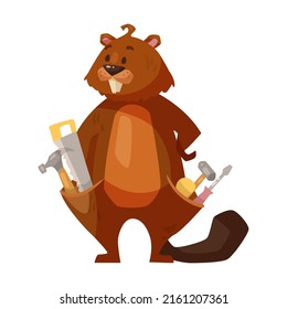 Beaver with tools in pockets cartoon illustration. Cute rodent with saw, meter ruler and hummer gnawing wood, sitting in lotus pose on white background