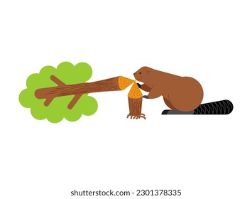 Beaver and tree. Swamp rodent and dam