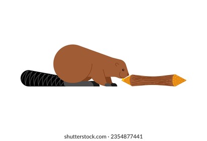 Beaver and tree. Swamp rodent and dam