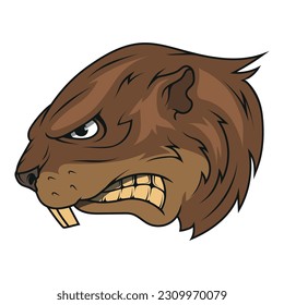 Beaver. Vector illustration of a angry beaver with two sharp teeth and a huge tail