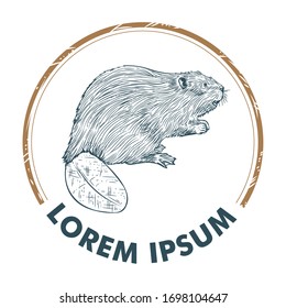 Beaver vector illustration in hand drawn style, good for brand product logo, also carpenter business logo