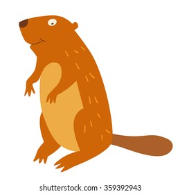Beaver. Vector illustration, isolate on white  background