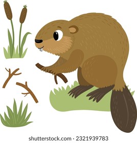 Beaver. Vector illustration isolated on white background.