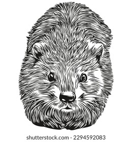 beaver vector illustration line art drawing black and white beavers
