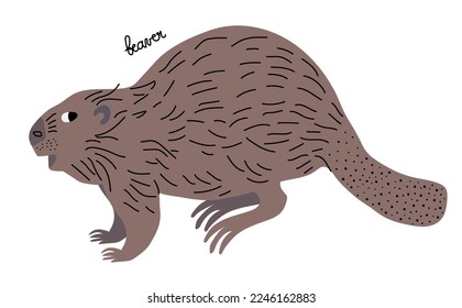 Beaver vector illustration. Standing. Cartoon, flat style with lettering. Wetland animal.