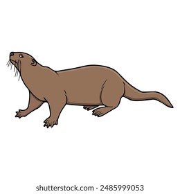 beaver vector illustration,isolated on white background,top view