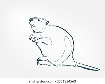 beaver vector line art animal wild life single one line hand drawn illustration isolated