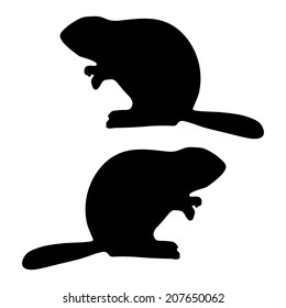 beaver vector on white background, template for design