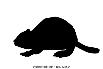 Beaver vector silhouette illustration isolated on white background. Shape beaver shadow cute rodent animal.