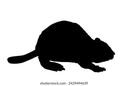 Beaver vector silhouette illustration isolated on white background. Shape beaver shadow cute rodent animal.