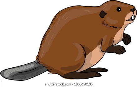 beaver verktorny drawing on transparent background