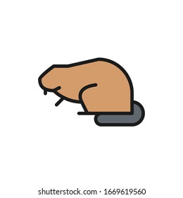 Beaver, water rat flat color line icon.