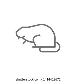 Beaver, water rat line icon.