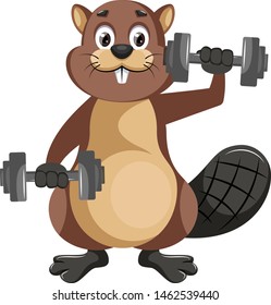 Beaver with weights, illustration, vector on white background.