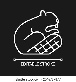 Beaver white linear icon for dark theme. Symbol of sovereignty. Herbivore wild animal. Beaver dam. Thin line customizable illustration. Isolated vector contour symbol for night mode. Editable stroke