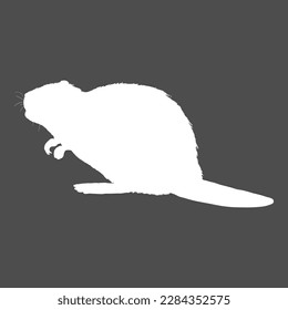 Beaver White Silhoeutte Vector Illustration on Black Background