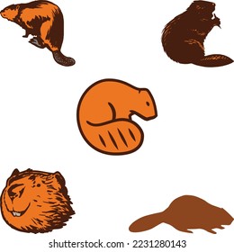 Beaver wild animal set vector illustration. Funny character in various poses cartoon design. Groundhog day concept. Isolated on white background.