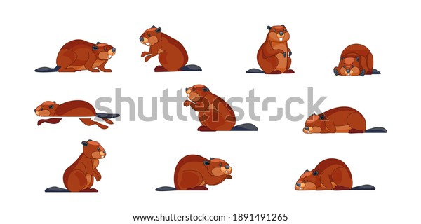 Beaver wild animal set vector illustration.\
Funny character in various poses cartoon design. Groundhog day\
concept. Isolated on white\
background.