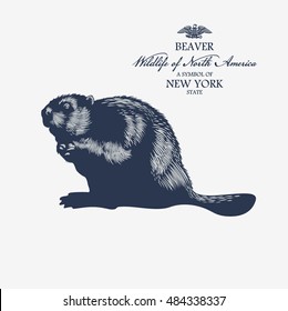 Beaver, Wildlife of America, illustration, vector, blue color