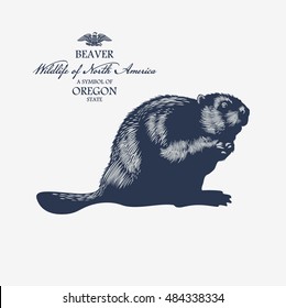 Beaver, Wildlife of Oregon, illustration, vector, blue color