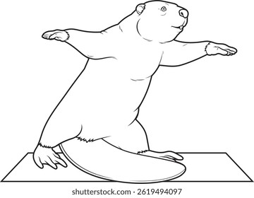 Beaver Yoga Yoga mat Animal Vector Graphic Art Illustration