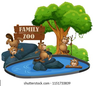 Beaver at the zoo illustration