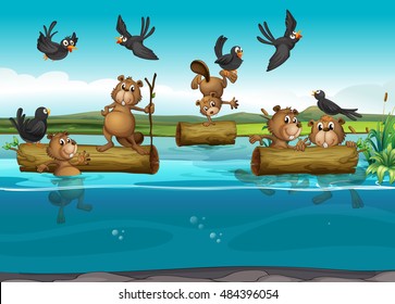 Beavers and birds in the river illustration