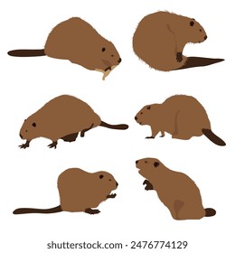 Beavers in different poses vector graphics