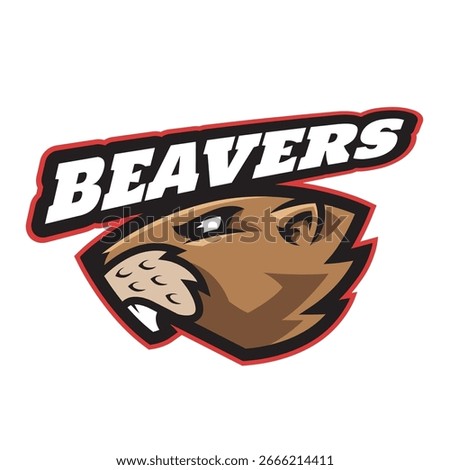 Beavers Mascot Logo Vector Illustration