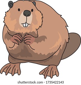
Beavers are rare animals that make dams.