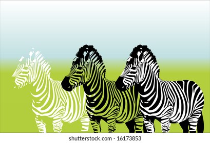 Becoming a zebra vector illustration