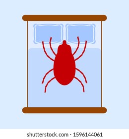 Bed and bedding bed bugs and ticks on a white background, vector