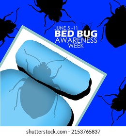 Bed With Big Fleas Shadow And Bold Texts On Blue Background, Bed Bug Awareness Week June 5-11