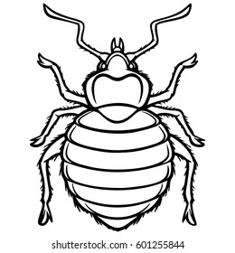 Bed Bug Graphic Illustration
