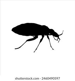 Bed bug silhouette isolated on white background. Bug icon vector illustration design.