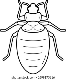 Bed Bug. Vector Outline Icon.