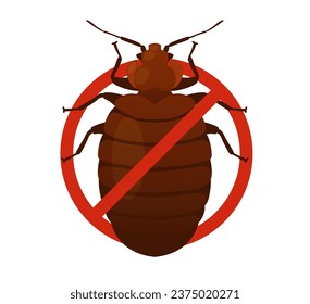 Bed Bugs - Genus Cimex - Stock Illustration  as EPS 10 File