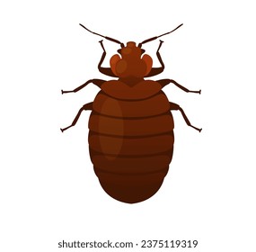 Bed Bugs - Genus Cimex - Stock Illustration  as EPS 10 File