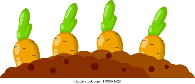 Bed with the carrot. Cartoon flat illustration. Growing vegetables on platform. Element of farm and village. Brown ground. Natural food