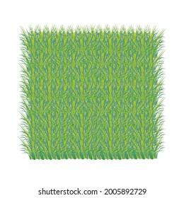 a bed of green grass - vector