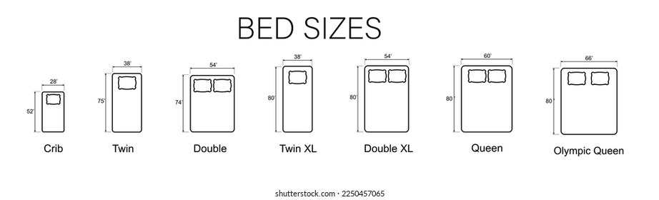 Bed Sizes and Mattress Dimensions . Pictograms depict icons of bed sizes. Vector