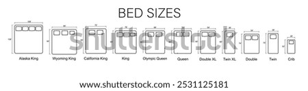 Bed Sizes and Mattress Dimensions . Pictograms depict icons of bed sizes. Vector