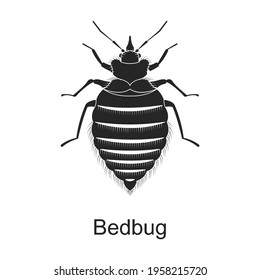 Bedbag vector black icon. Vector illustration pest insect bedbag on white background. Isolated black illustration icon of pest insect.