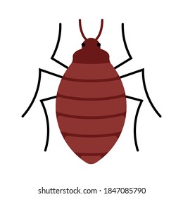 Bedbug. Ilustración abstracta de Bedbug común (Cimex lectularius). Ilustración vectorial de un insecto.