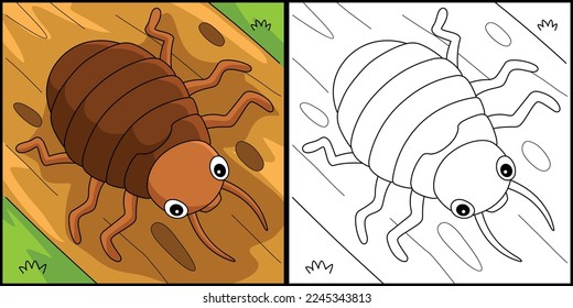 Bedbug Animal Coloring Page Colored Illustration